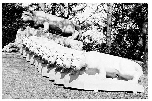 Photograph of the Nittany Lion Shrine and its "cubs"—replicas made for the Commonwealth campuses in 1969. 