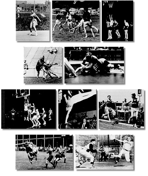 Collage of men's and women's athletics